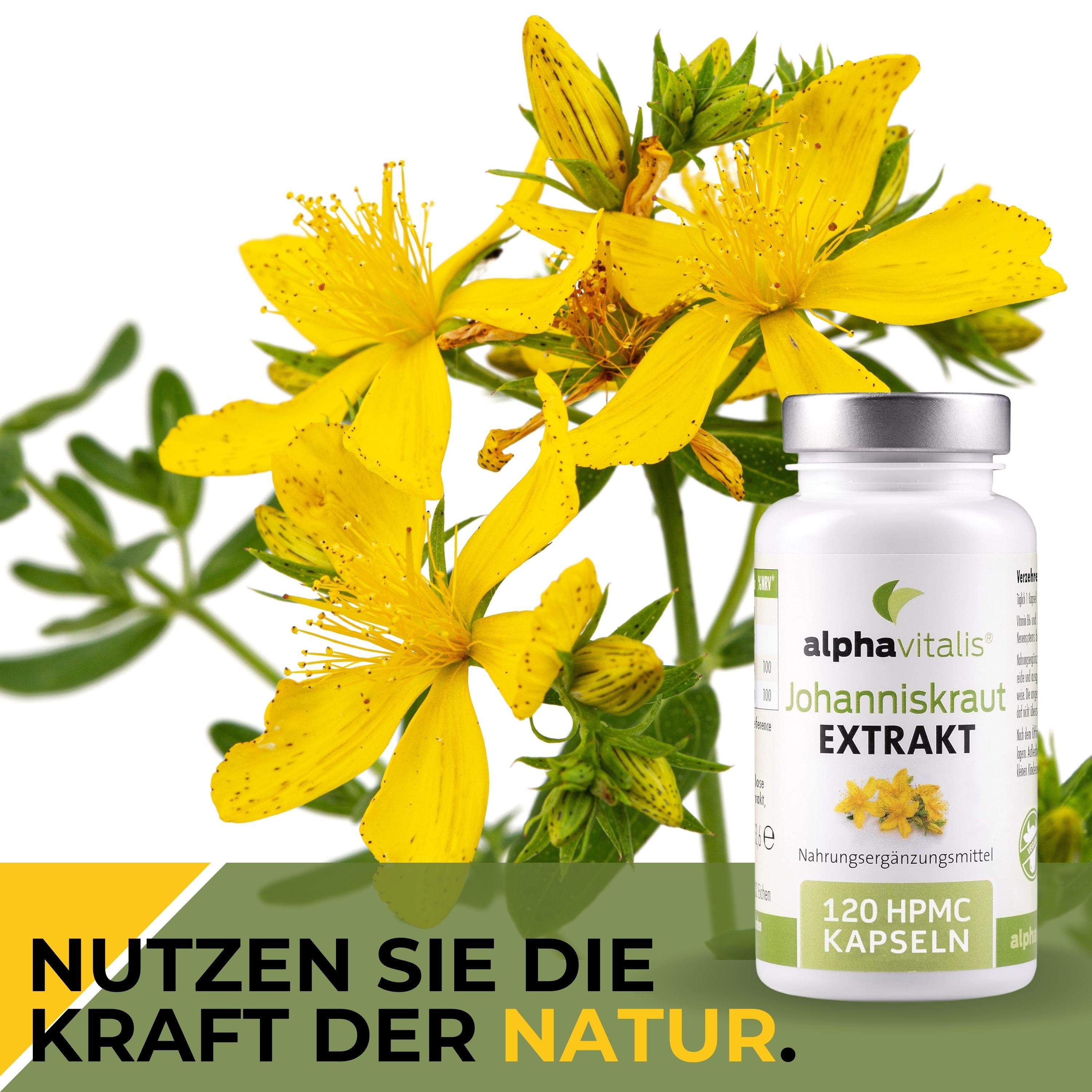 Alphavitalis® Johanniskraut Extrakt Kapseln mit Vitamin B6, B12