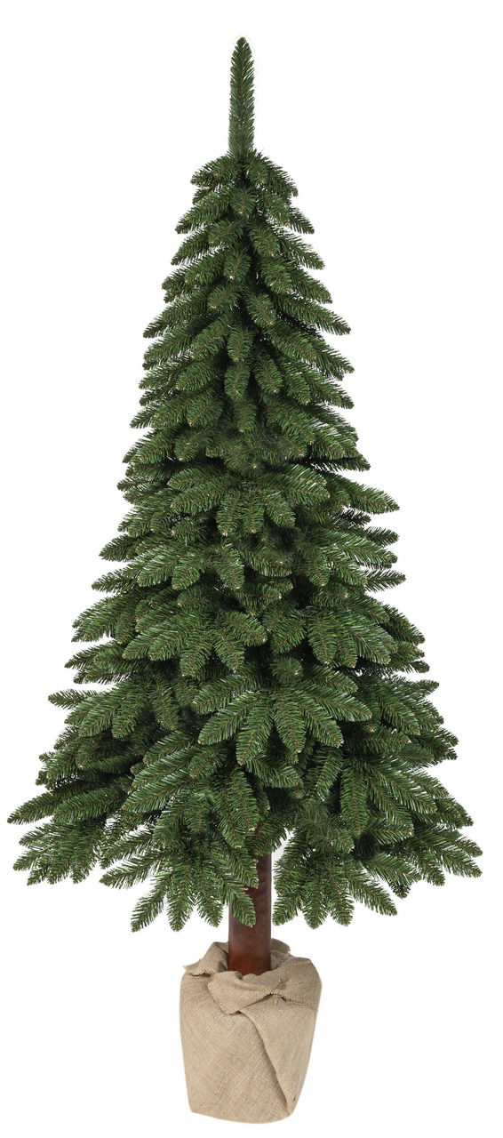 Everlands Tannenbaum Kiefer Tora