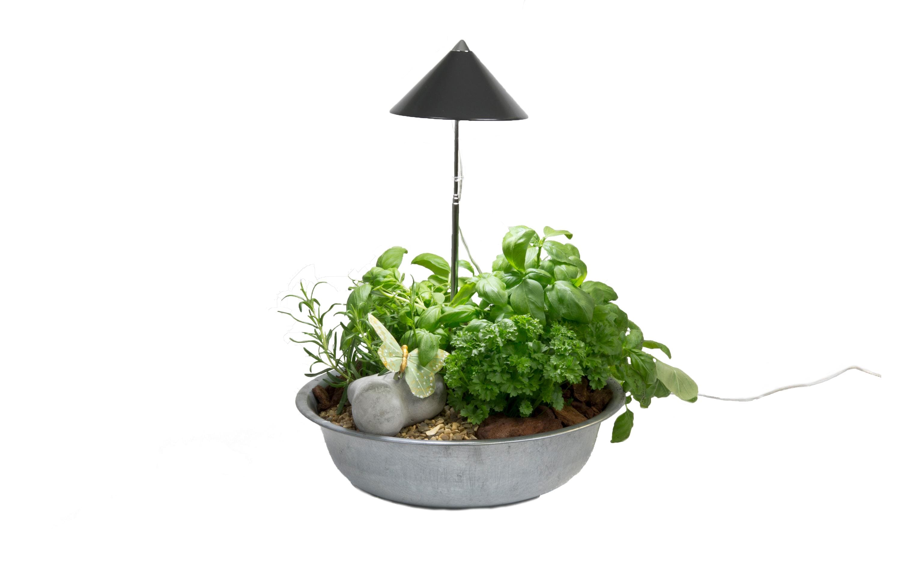 Pflanzenleuchte SunLite 7 W, GrauLED-Pflanzenlampe mit Vollspektrum