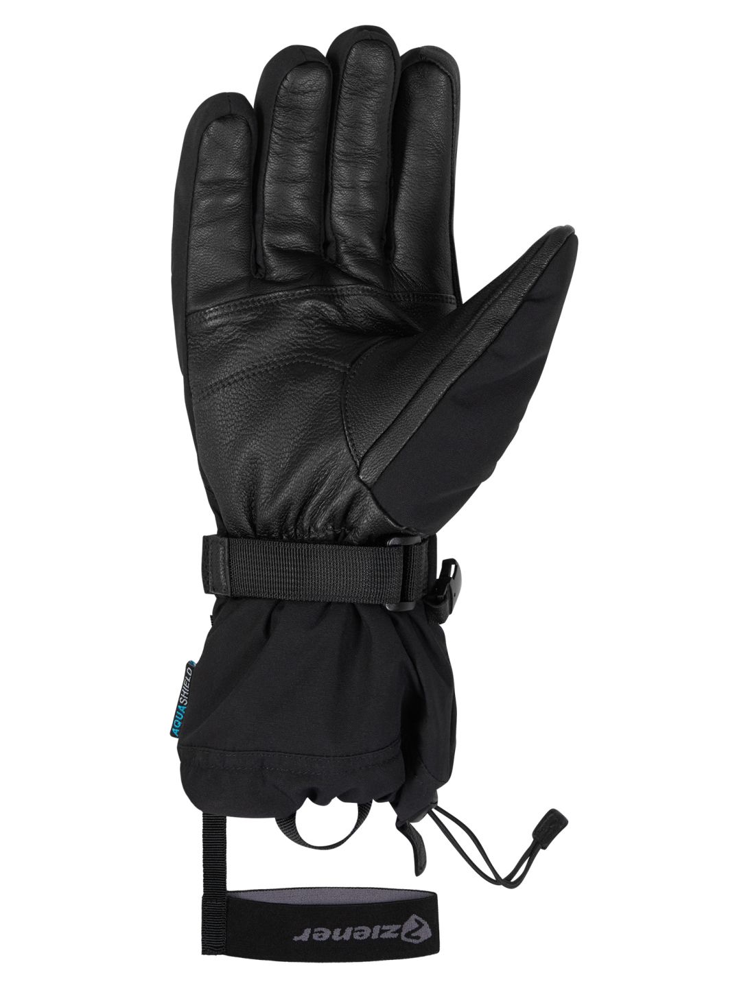 Gaiku AS® AW skihandschoenen heren