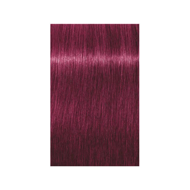 Coloration Igora Royal Schwarzkopf 60ML ( Par numéro )