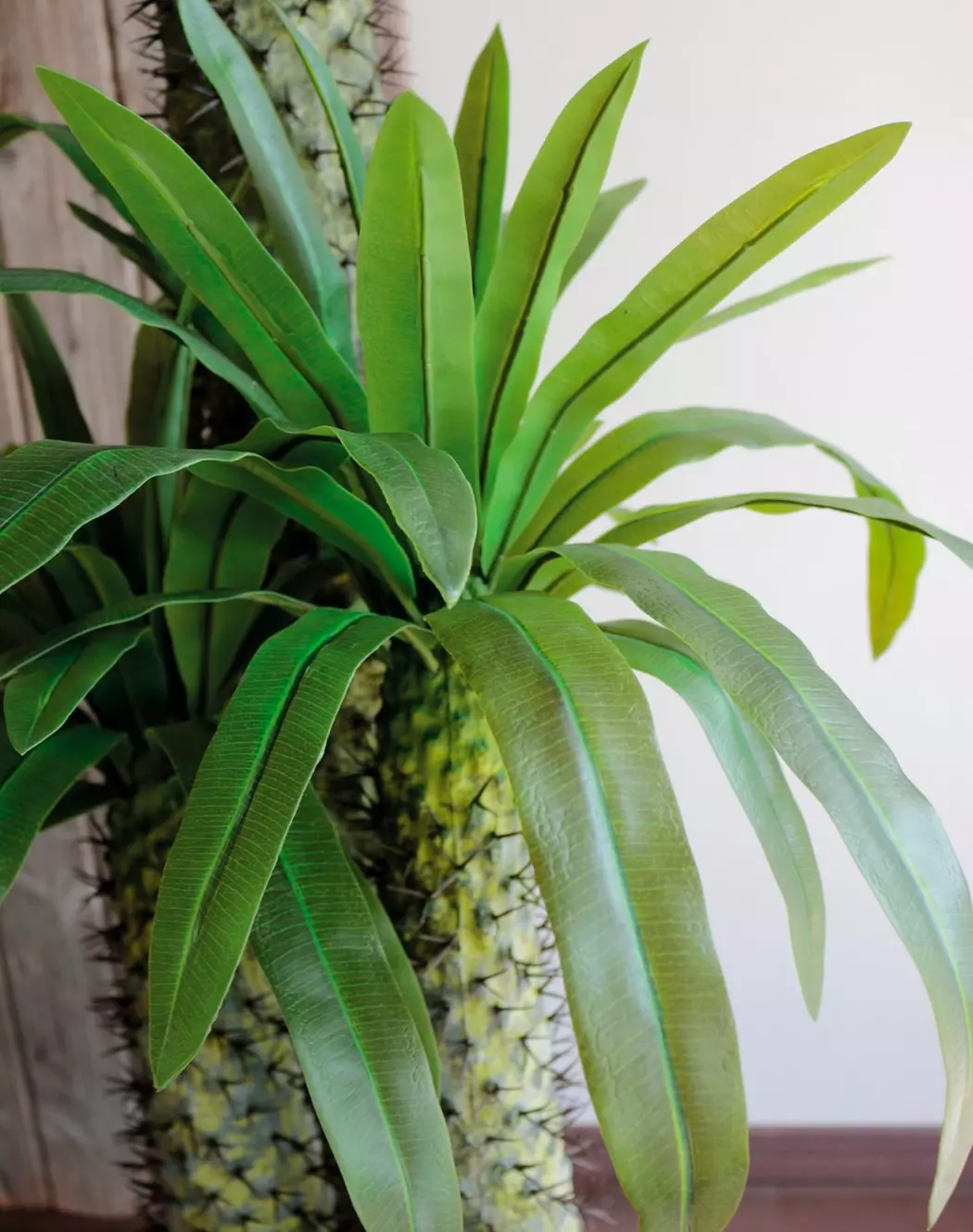 Kunstpflanze Madagaskarpalme 170 cm