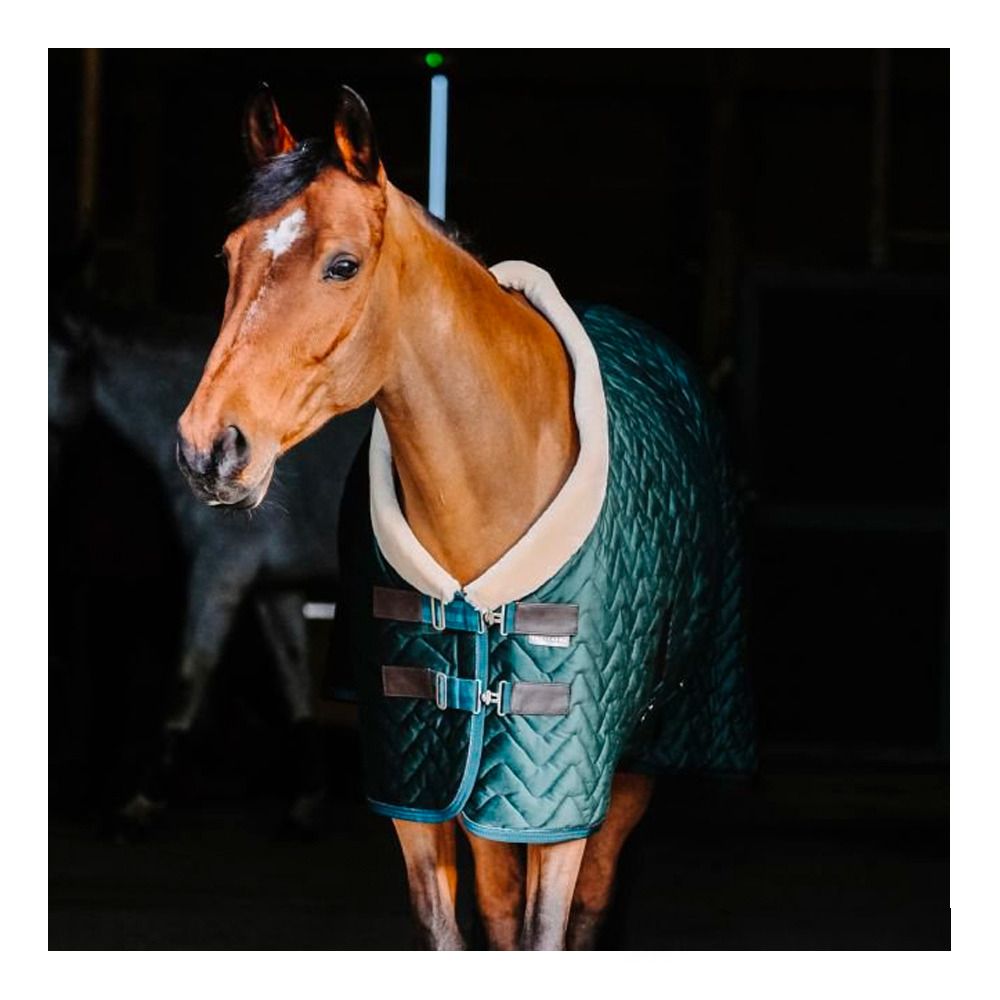 Equitheme TEDDY 150G - Couverture box vert