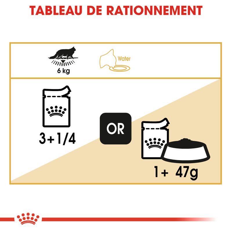 Royal Canin Maine Coon Adult en sauce