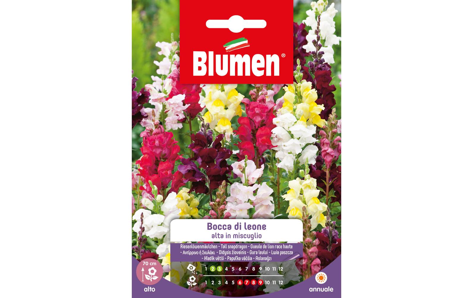 Saatgut Riesenlöwenmäulchen MixBlumensamen