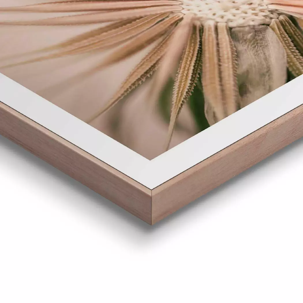 Wandbild 40 x 50 cm Pusteblume