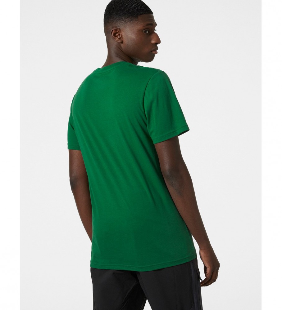 Camiseta Helly Hansen Nord Graphic verde