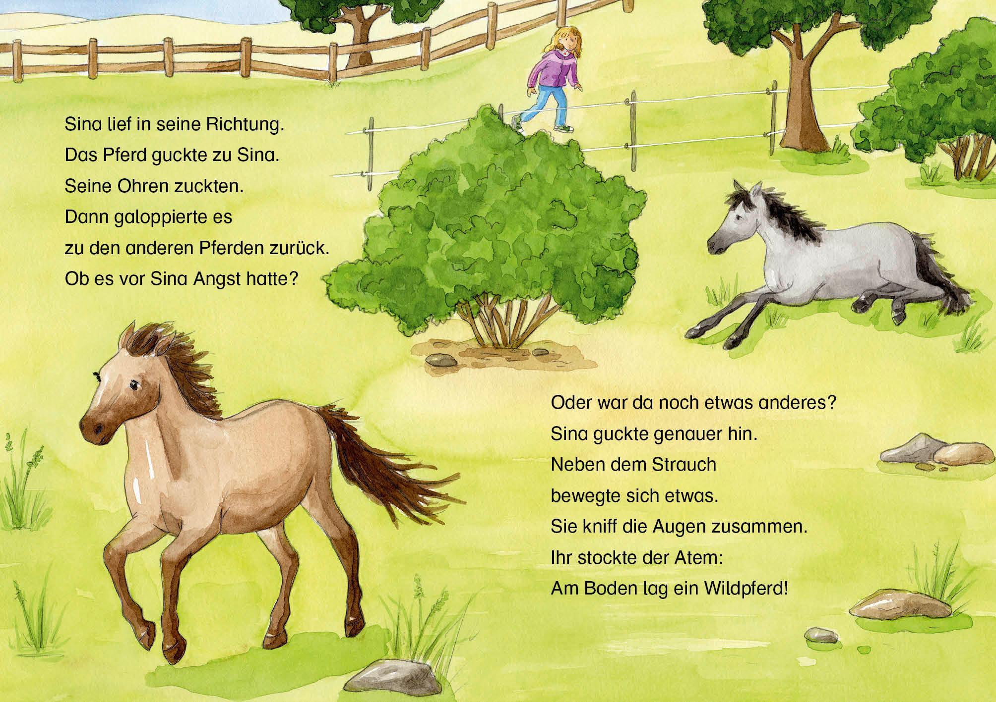 Leselöwen 2. Klasse - Das verletzte Wildpferd