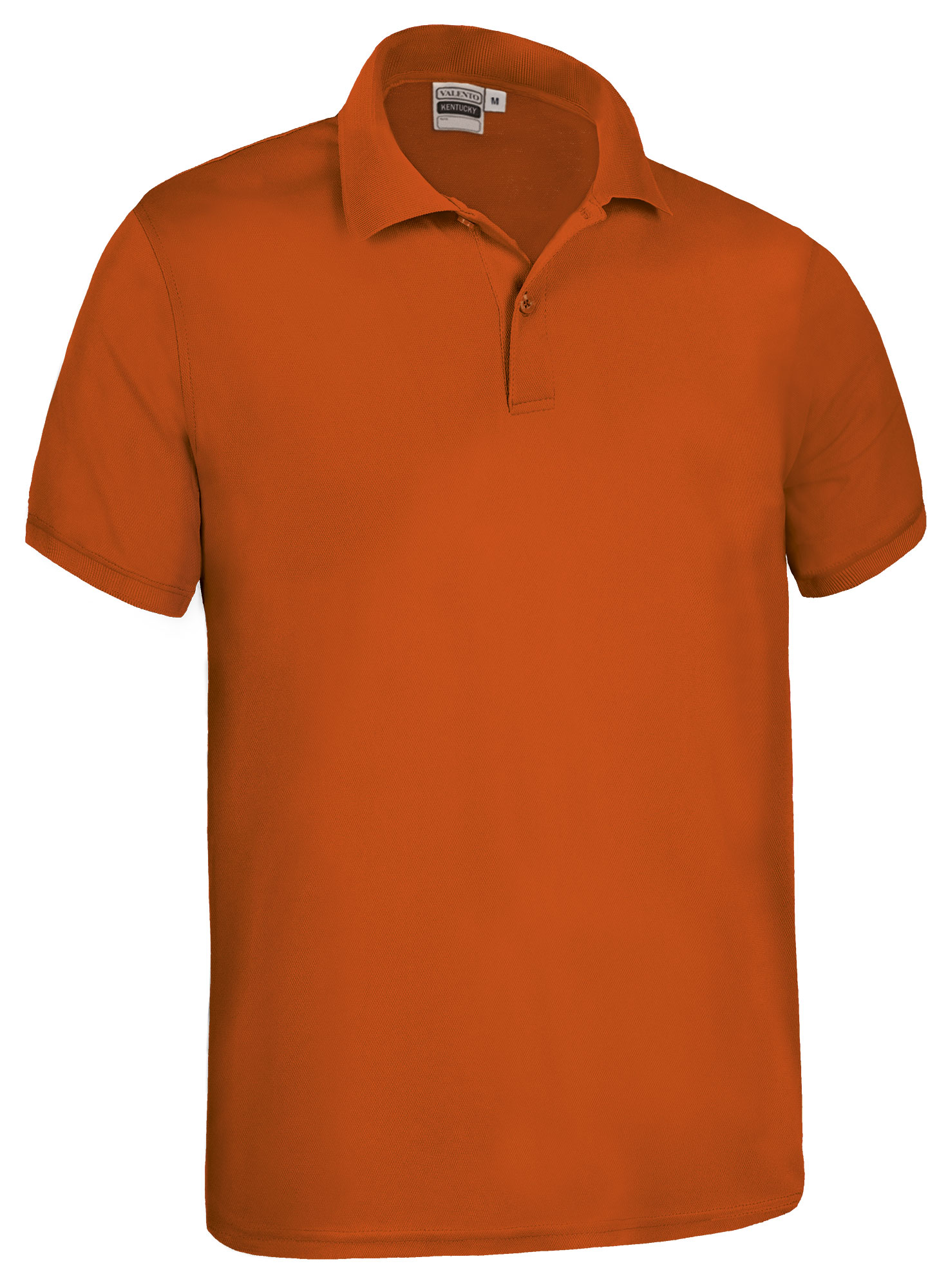 Valento POVAKEN - Polo KENTUCKY