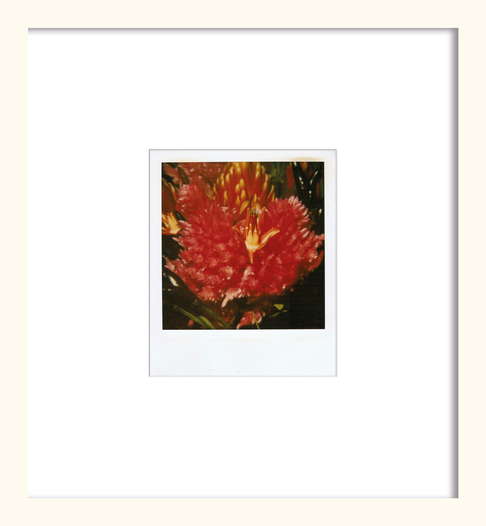 Flower by Nobuyoshi Araki - Unique Artwork