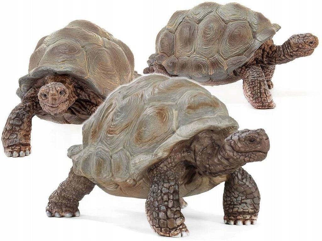 Schleich Safari - Riesenschildkröte