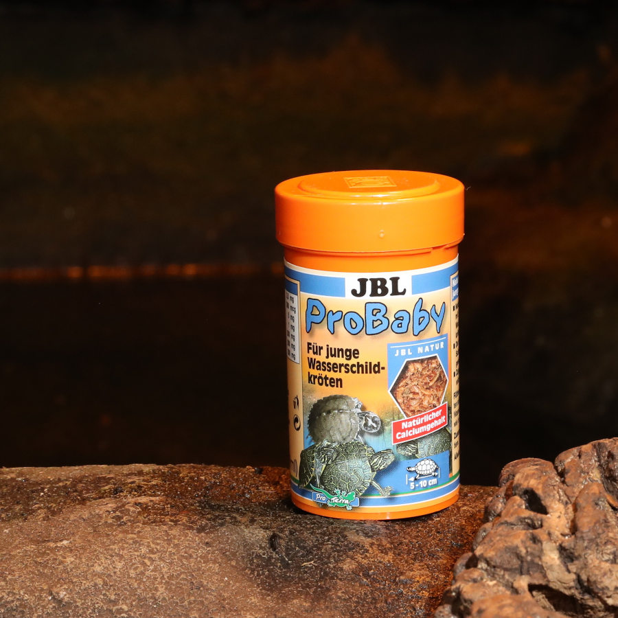 Alimento JBL ProBaby para Tartarugas Aquáticas Jovens
