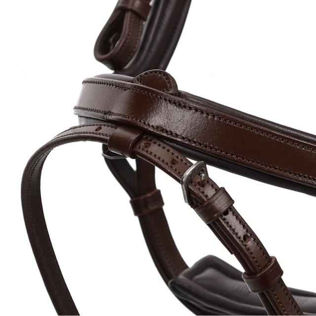 Hoofdstel QHP Salerno Bruin