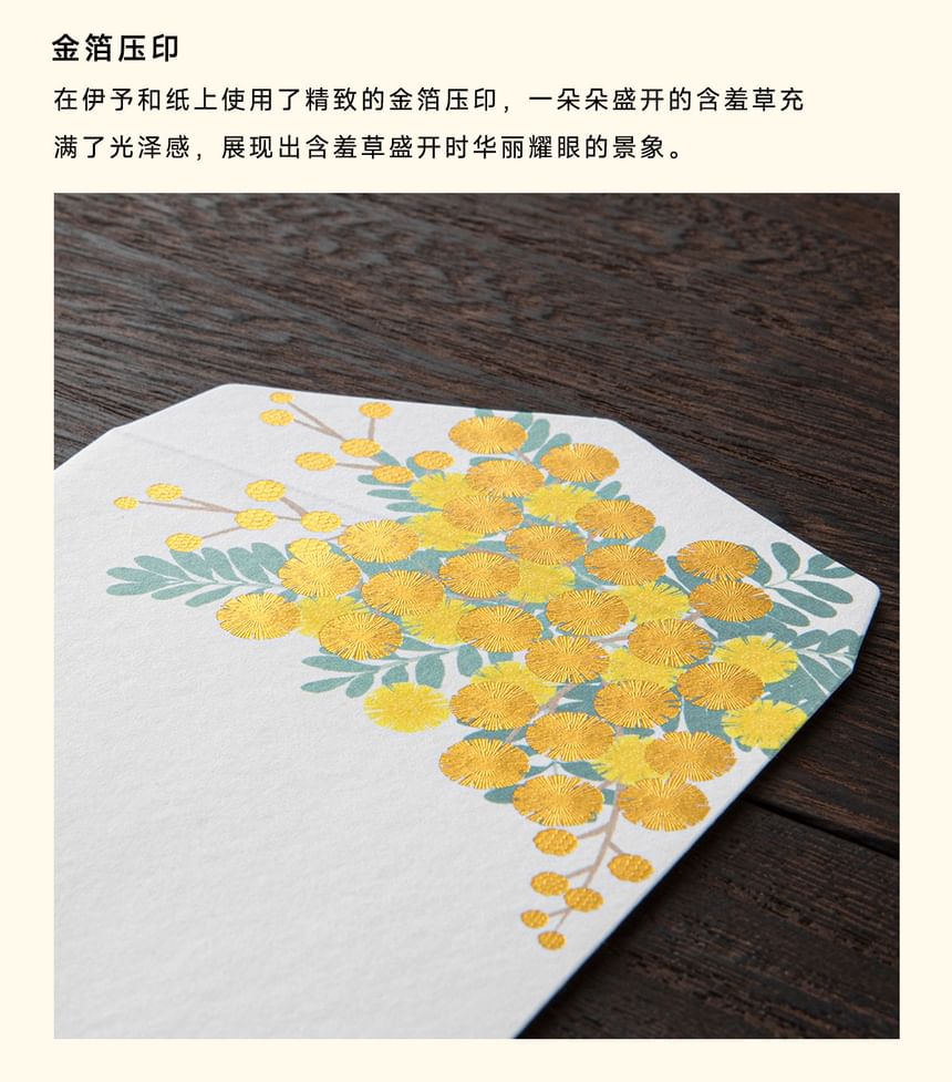 MIDORI JAPAN - Plantenprint envelop / briefpapier / ansichtkaart / set (verschillende ontwerpen)