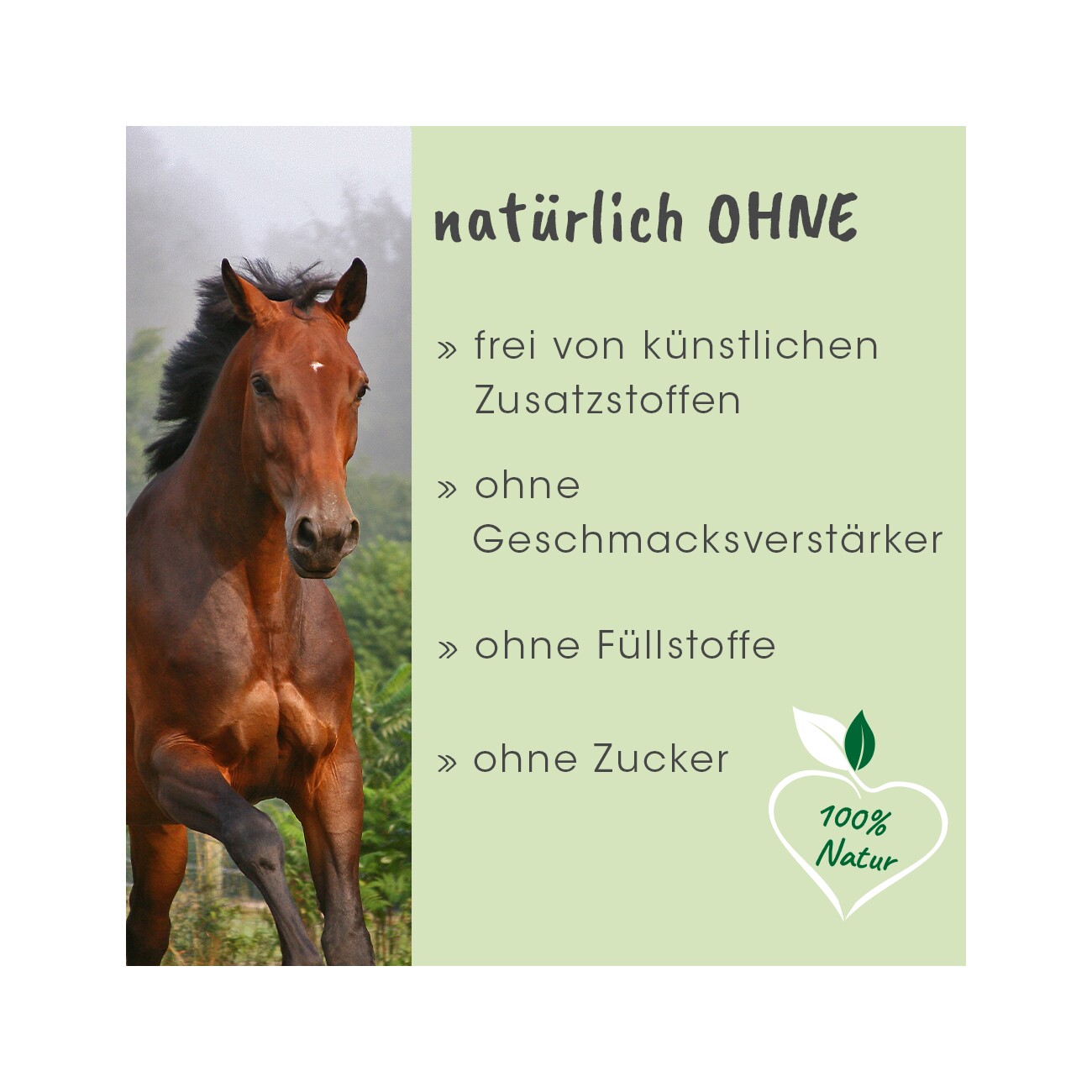cdVet ArthroGreen Horse 700 g