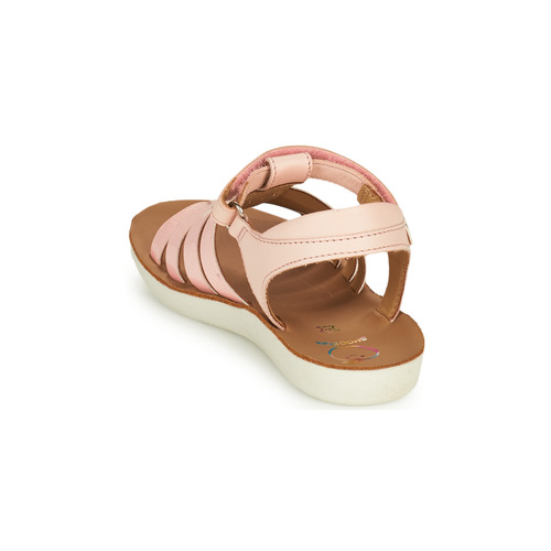 Shoo Pom - GOA SPART - Rose