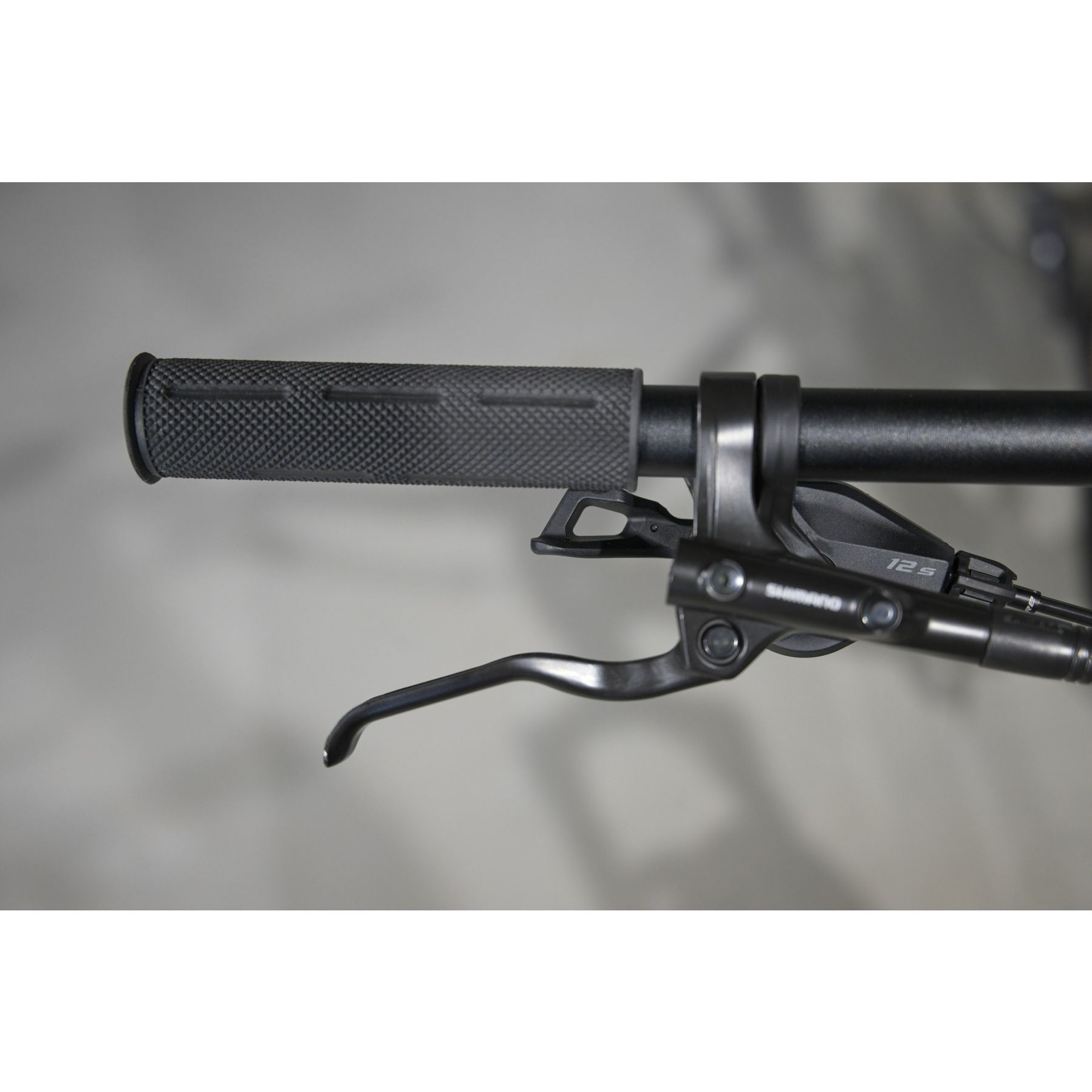 Focus Whistler 3.9 2025
