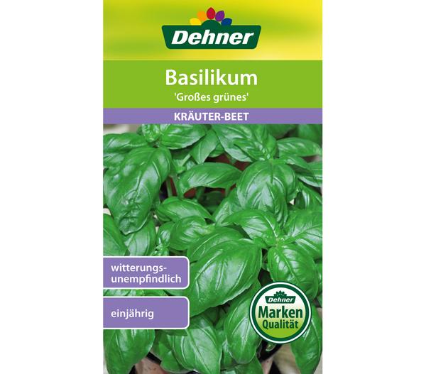 Dehner Samen Basilikum 'Großes grünes'