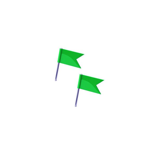 Caixa 20 Sinalizadores Bandeira Verde