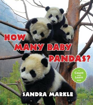 How Many Baby Pandas (Paperback)
