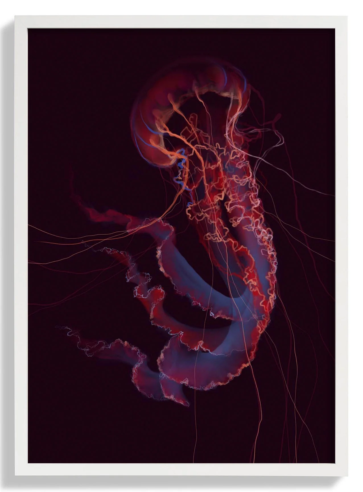 Red Phenomena Jellyfish von Julia Charlott