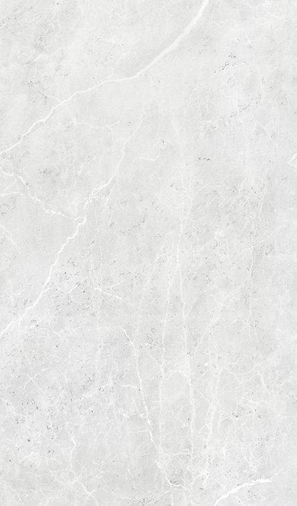 Panneau mural salle de bains 100 x 210 cm Schulte DécoDesign marbre gris