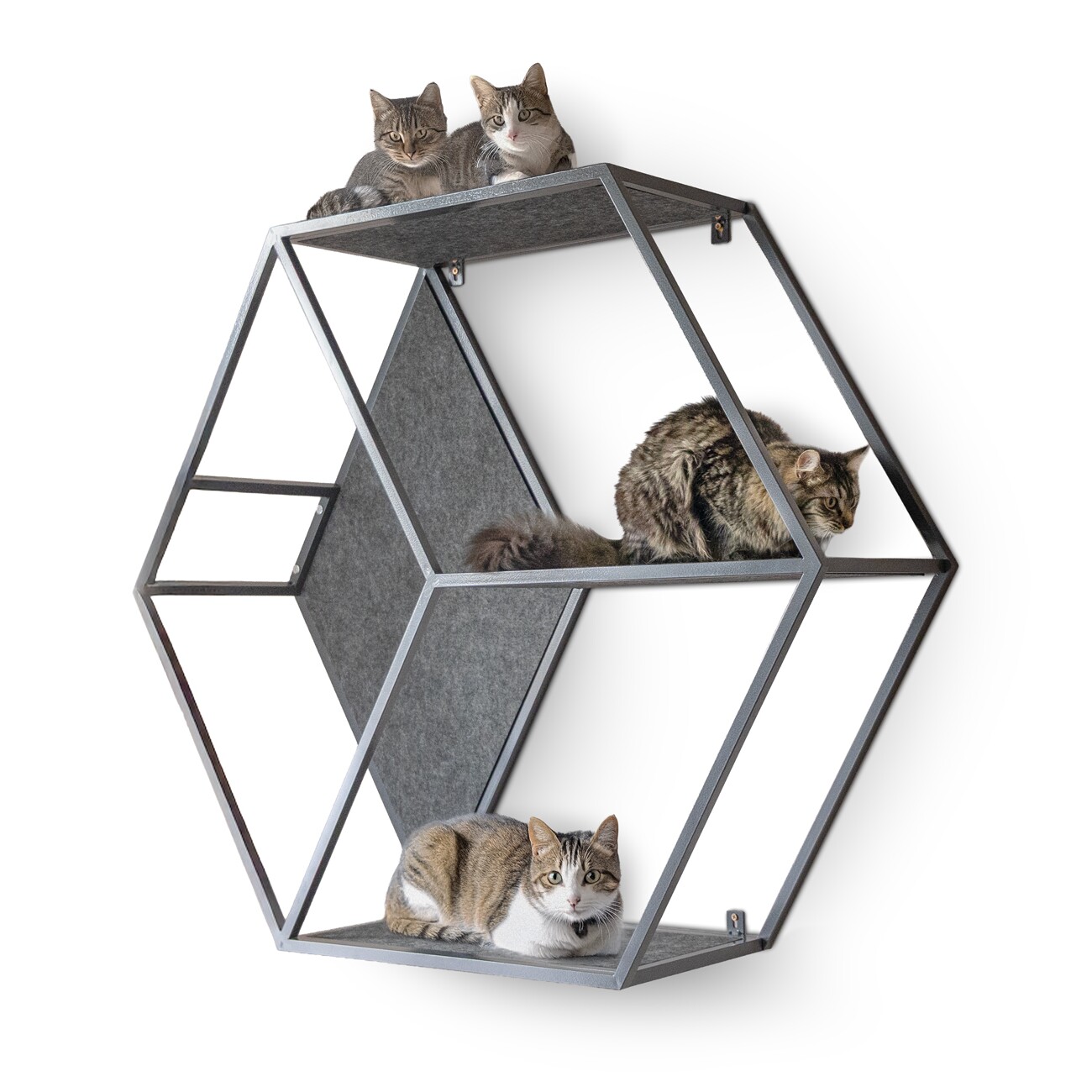 Canadian Cat Company Kratzbaum HexaCat