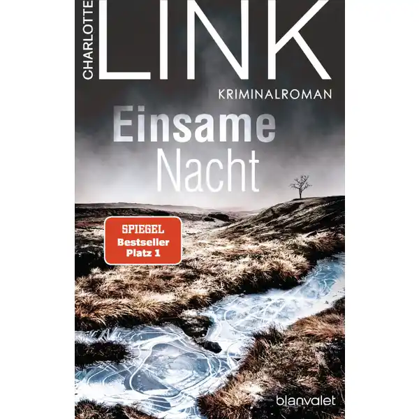 Link / Einsame Nacht