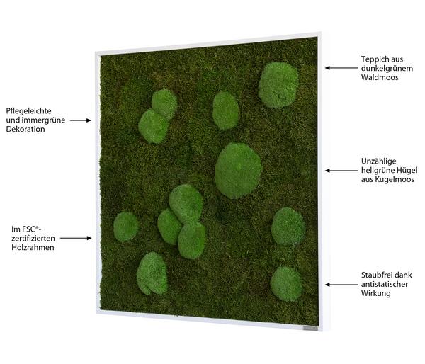 styleGREEN Bild aus Wald- und Kugelmoos,