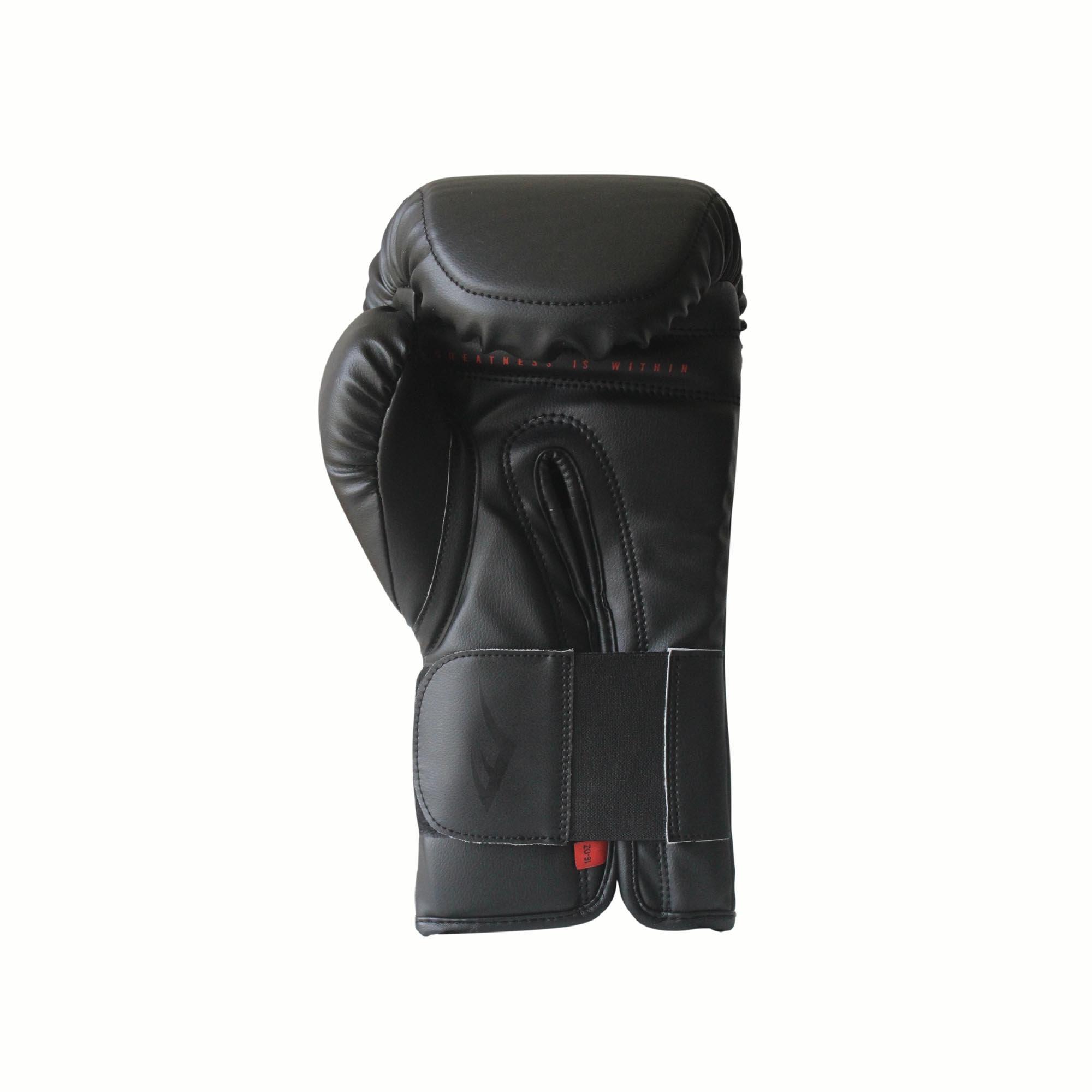 Everlast Elite Pro Hook And Loop
