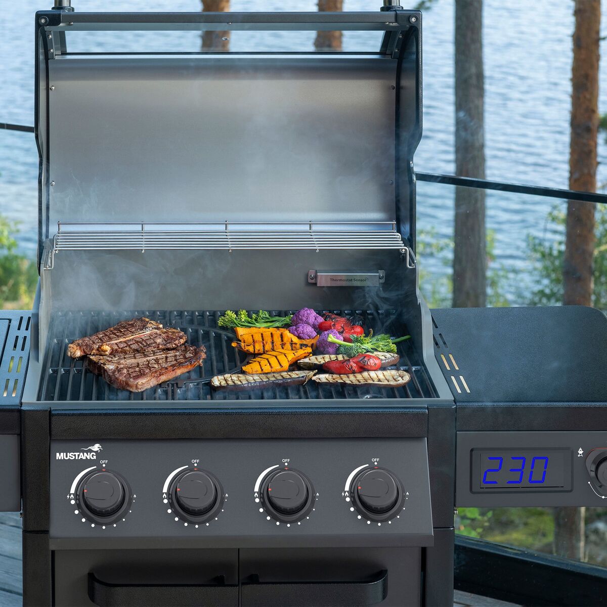 Charleston 4+1 gassgrill