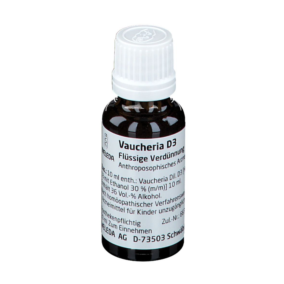 Vaucheria D3 Dilution