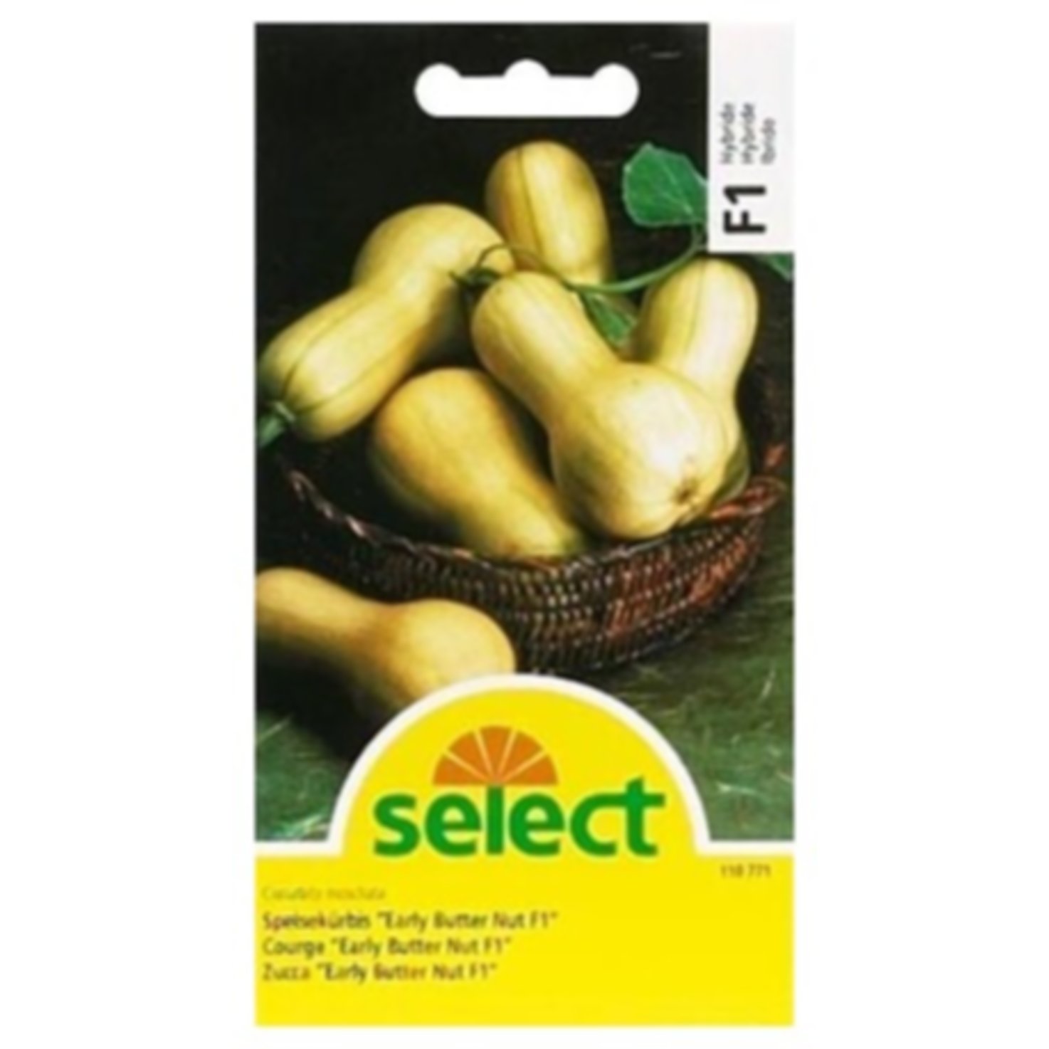 Select Speisekürbis Early Butter Nut