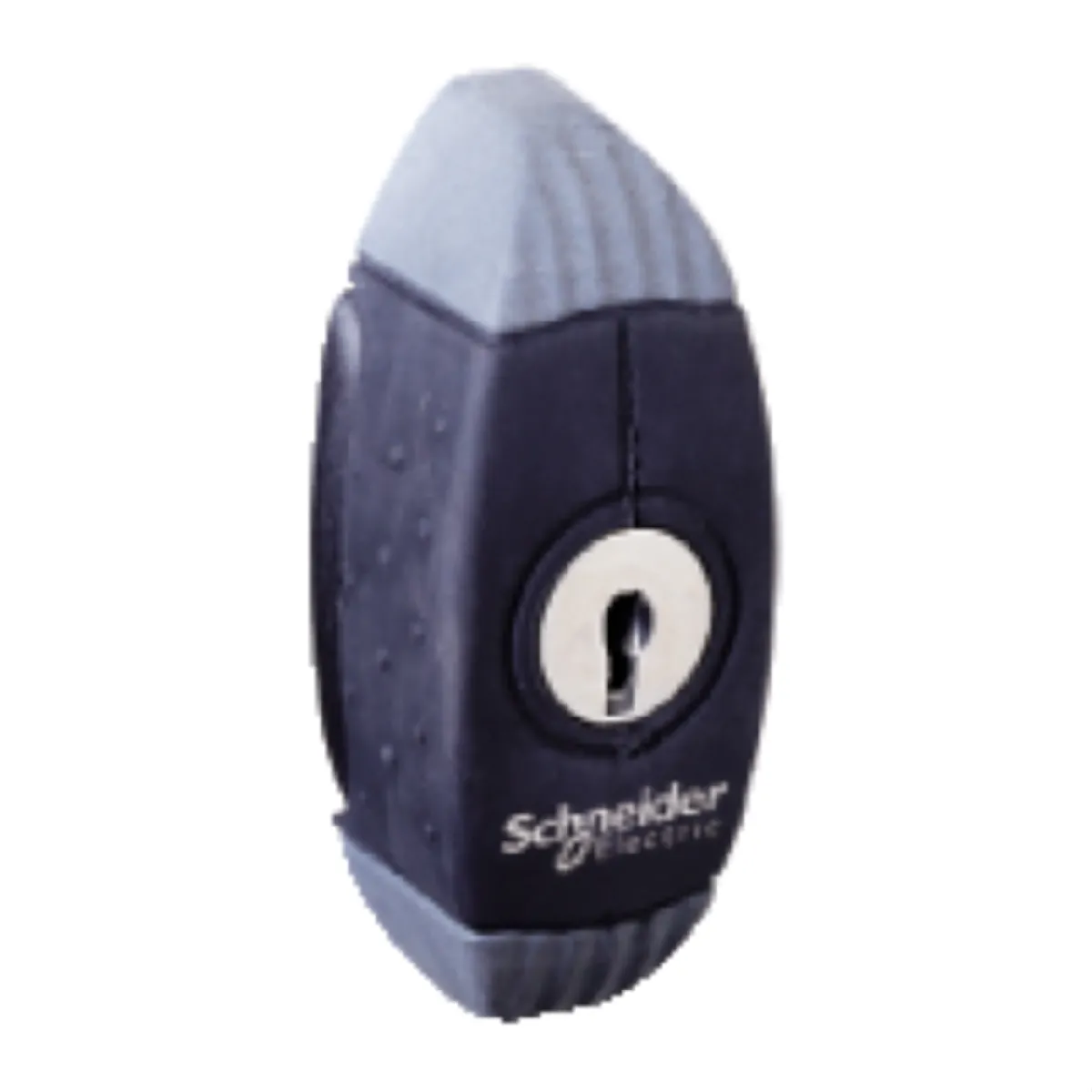 Schneider Electric Poignée NSYAEDL2433S3D