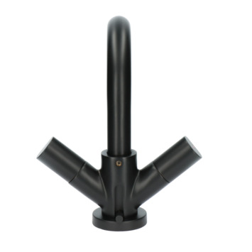 Aqualino Fortore 2-knops wastafelkraan met waste Zwart