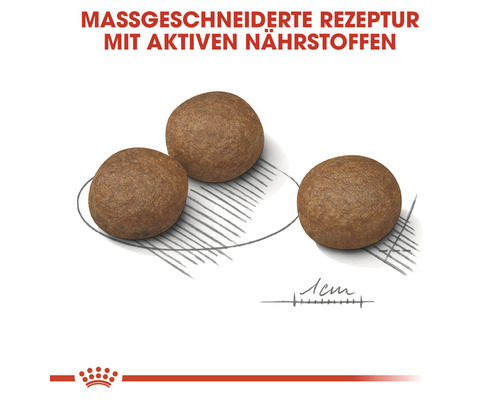 ROYAL CANIN MEDIUM Digestive Care droogvoer voor honden 3 kg