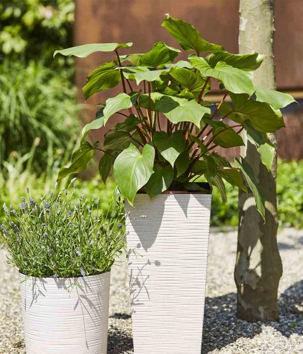 Siena Garden Kunststoff-Topf ECO Nizza,