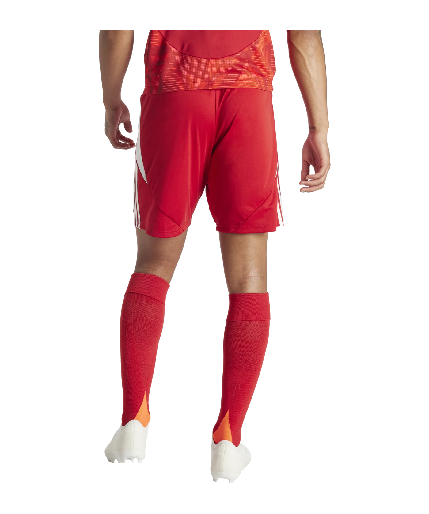 adidas Tiro 24 Short Rot Weiss