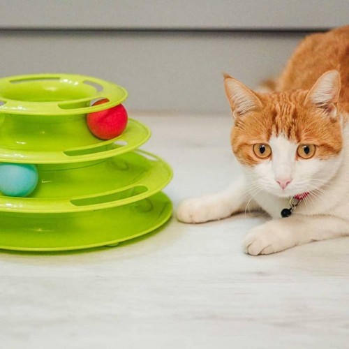 Brinquedo interativo para gatos, verde