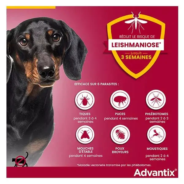 Solução Advantix para tratamento de pulgas e carrapatos em cães de pequeno porte (4-10kg) - 4 pipetas