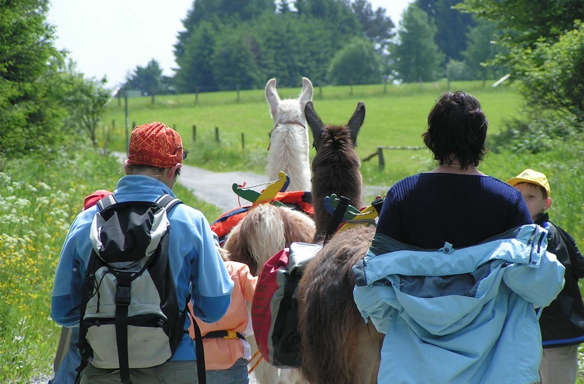 Lama-Trekkingtour Poppenhausen