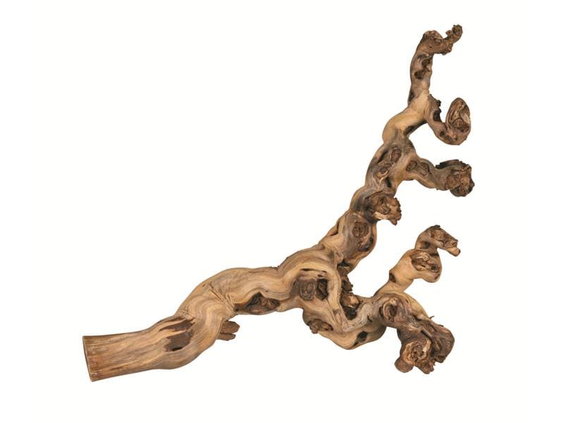 Trixie Weinrebenwurzel XL wassergestrahlt, 55 - 80 cm Weinrebe für einen natürlichen Lebensraum