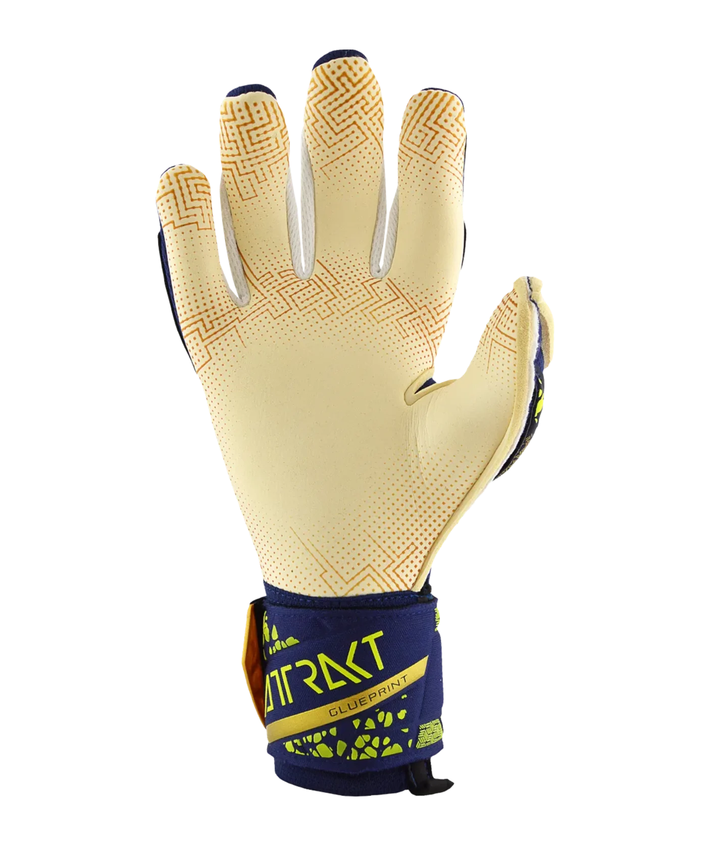 Reusch Attrakt Gold X GluePrint TW-Handschuhe Night Spark 2024 Blau Gold F4410