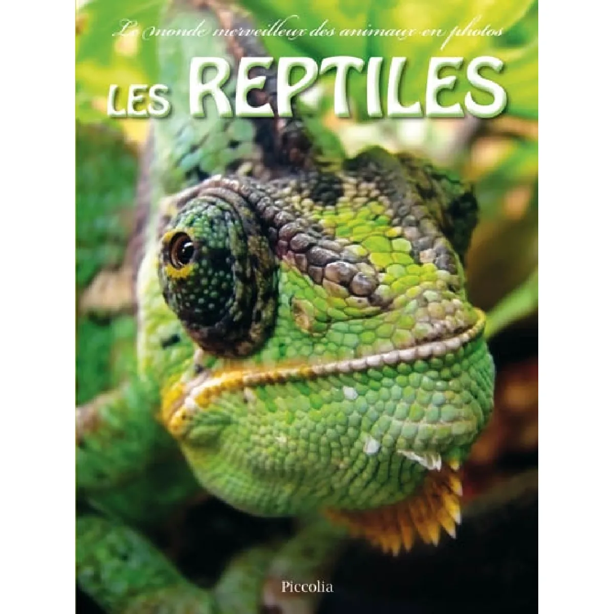 Les reptiles · Occasion