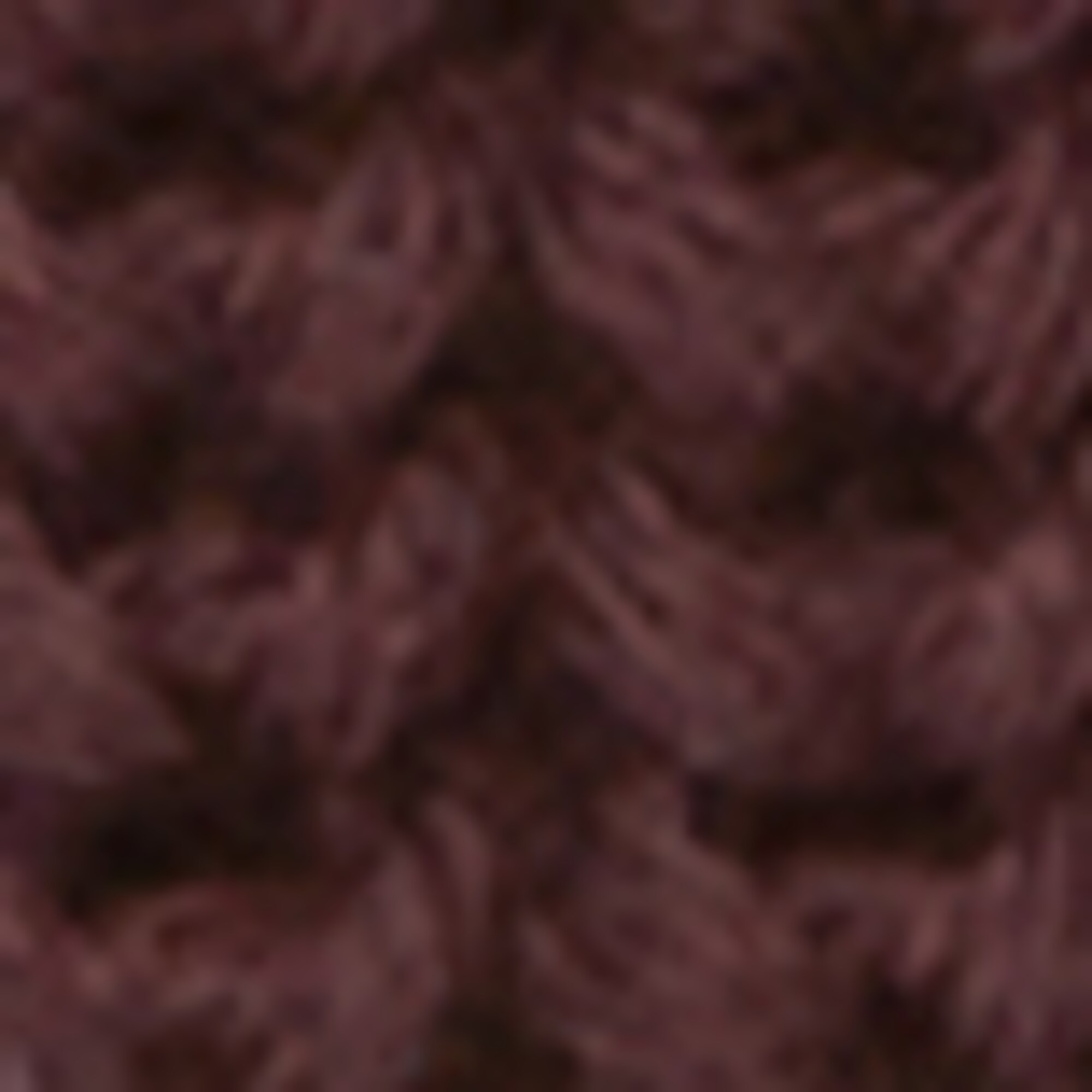 DfC Strickschal aus reiner Bio-Baumwolle