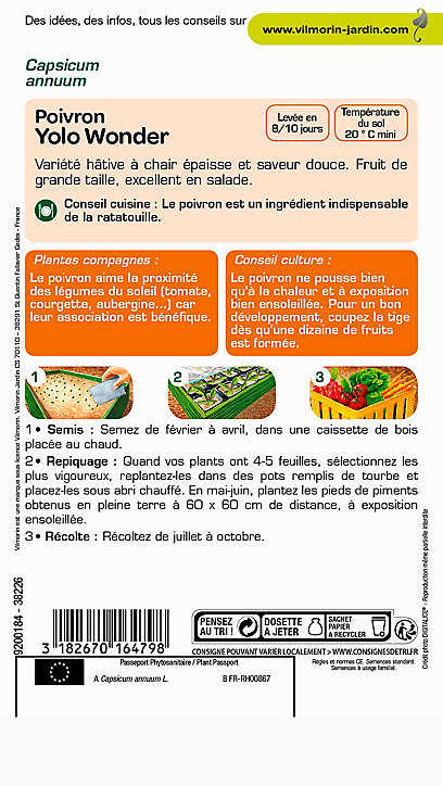 Graines de Poivron Yolo Wonder Vilmorin