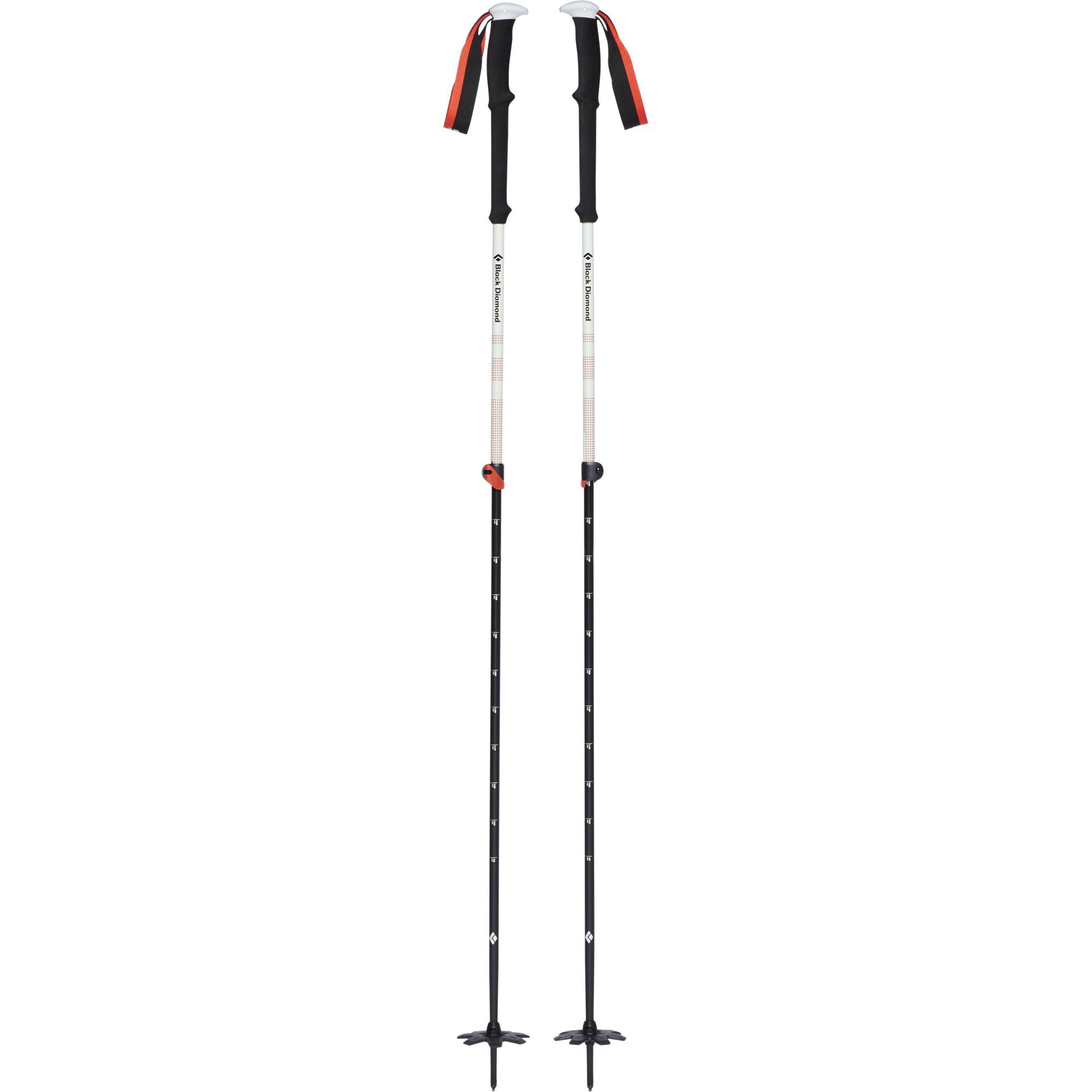 Black DiamondExpedition 2 Ski Poles