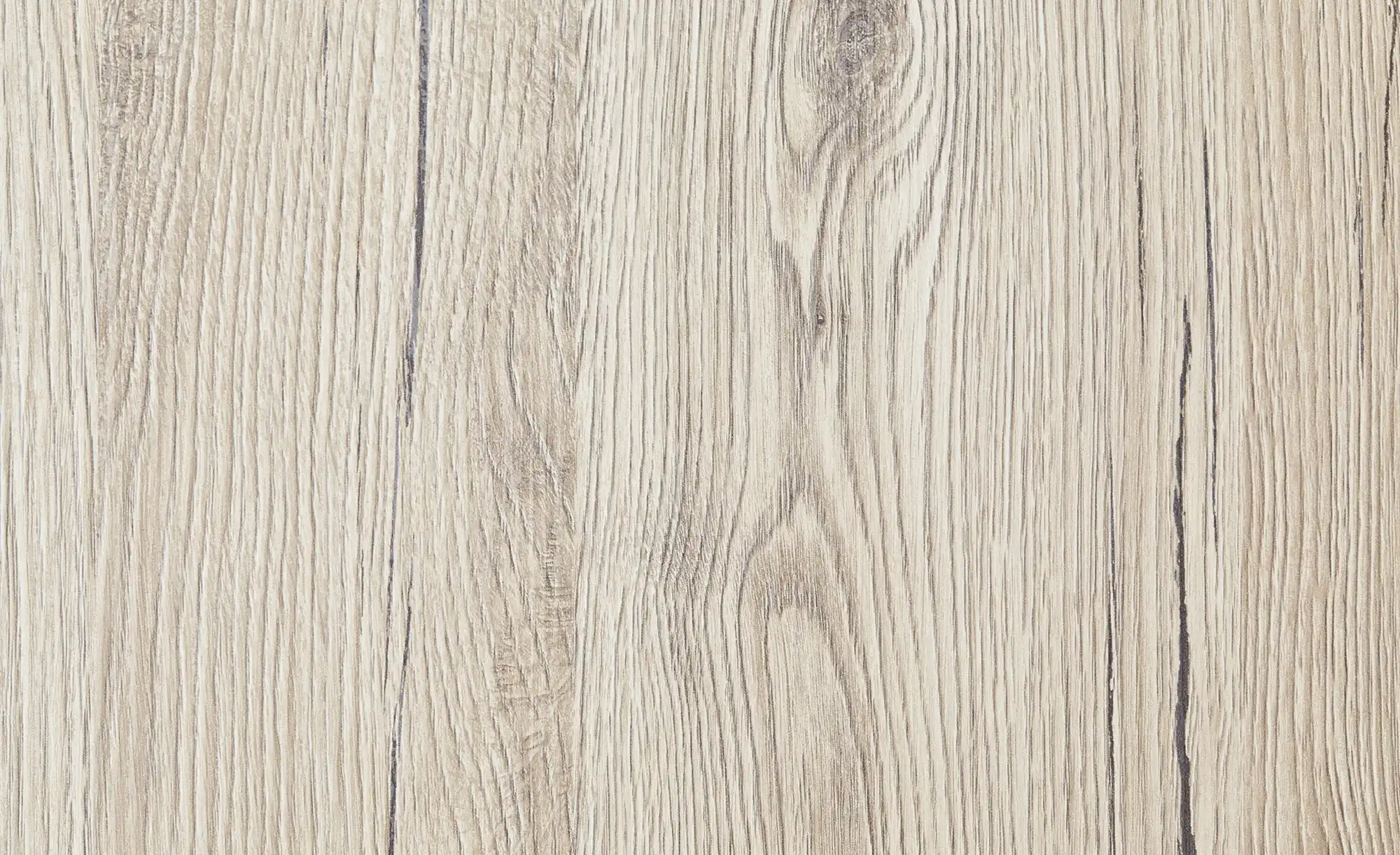 PAIDI Kleiderschrank Remo