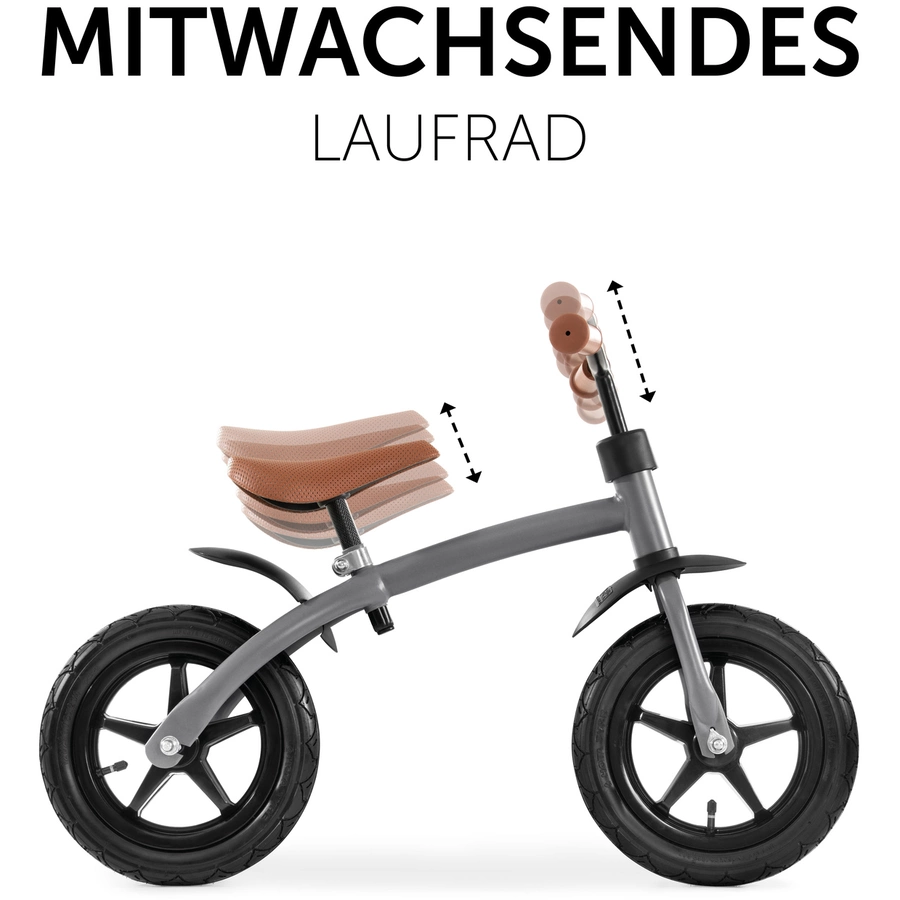 hauck Laufrad E Z Rider 12 Matt Grey