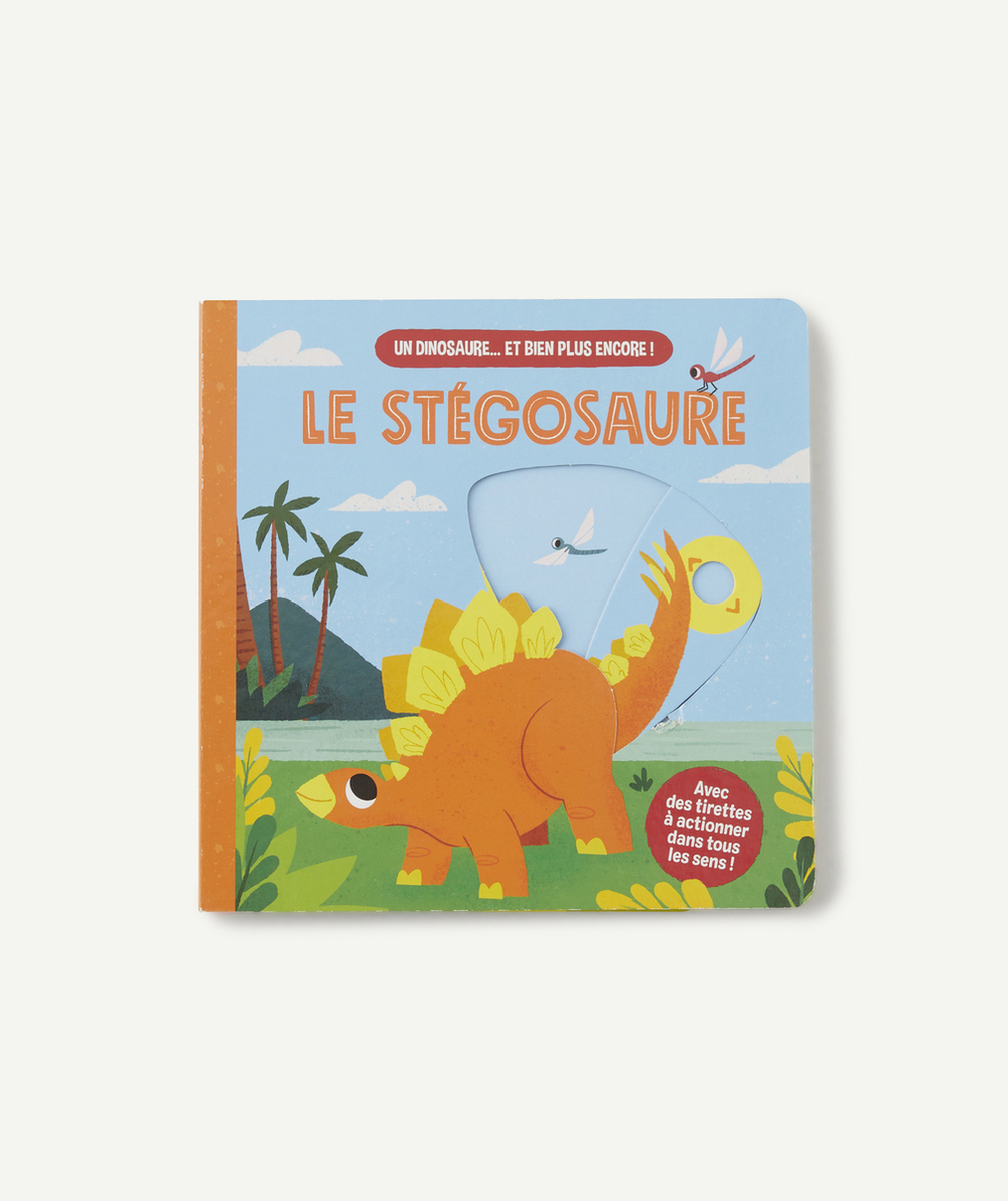KIMANELE STÉGOSAURE - UN DINOSAURE… ET BIEN PLUS ENCORE !